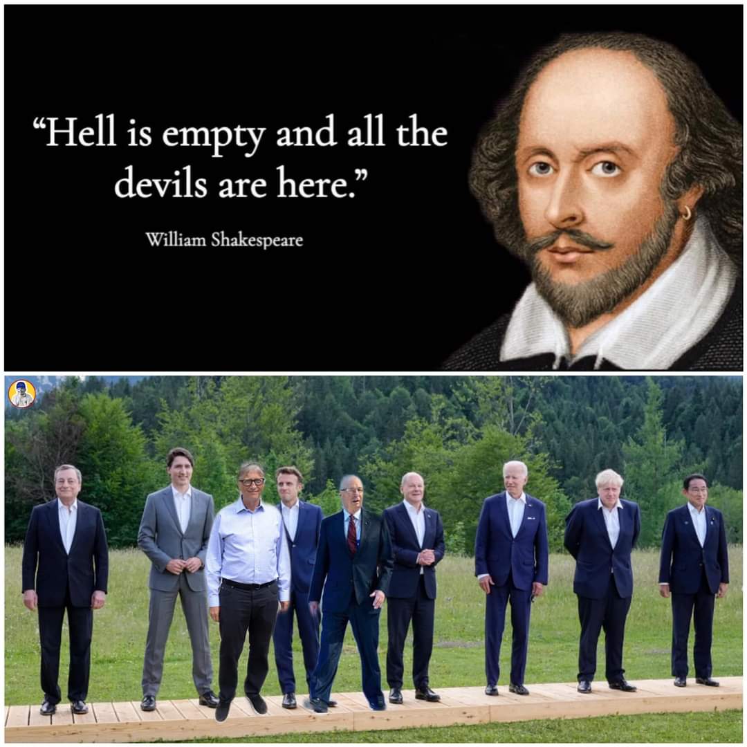 truth seeker tweet media