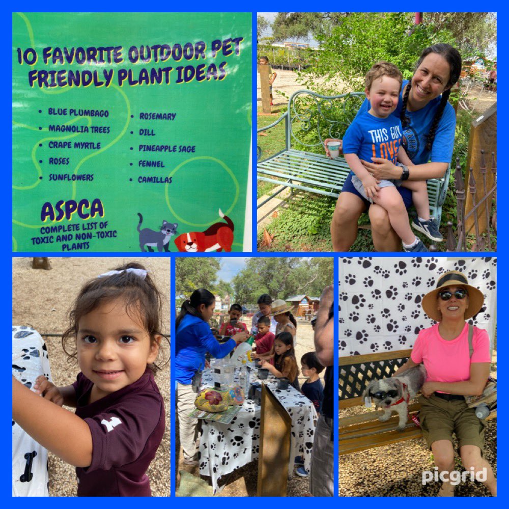 Enjoying “Dog Days of Summer” at #RainbowGardensBandera.