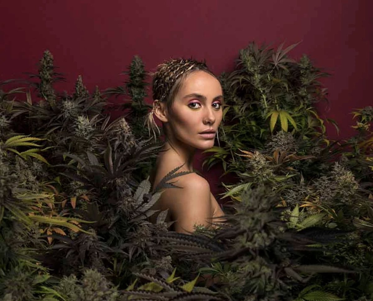 JavierHasse's tweet photo. Who's Setting The Trends In Weed? Meet The Top Cannabis Lifestyle Reporters In The US @Benzinga @BzCannabis @joncappetta @HIGH_TIMES_Mag @ForbesLife @lindseybartlett @JimiDevine @LAWeekly @JasonRaznick 
* https://t.co/xflEDNnsa8 https://t.co/Dnn7i0pzhM