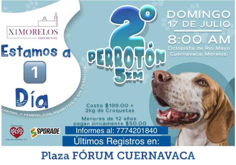 2Dinamika's tweet photo. A 1 día 🐾🐾🙌🏼🙌🏼👏🏻👏🏻 Perroton cuernavaca 🐕‍🦺🏃🏻🏃🏻‍♀️ https://t.co/eTGeQztuh4   Informes: 7774201840 https://t.co/jdPPL8X3Qf