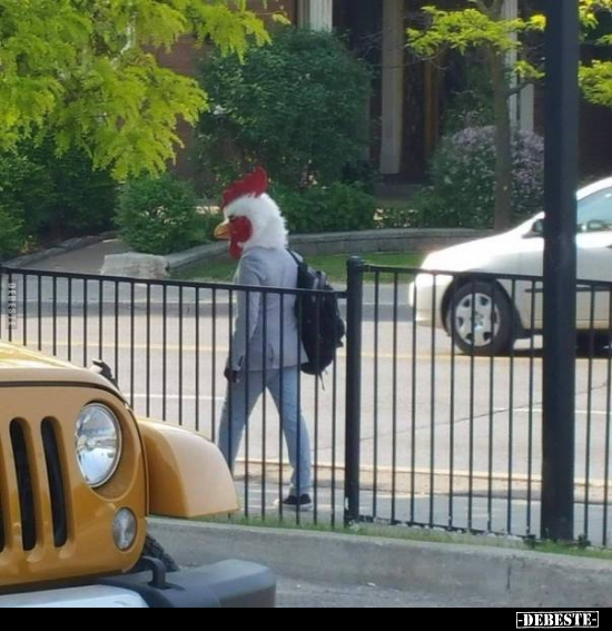 howo1's tweet image. #TVTest #DerGROßEtvTest 

Hühner Hugo auf dem Weg in studio