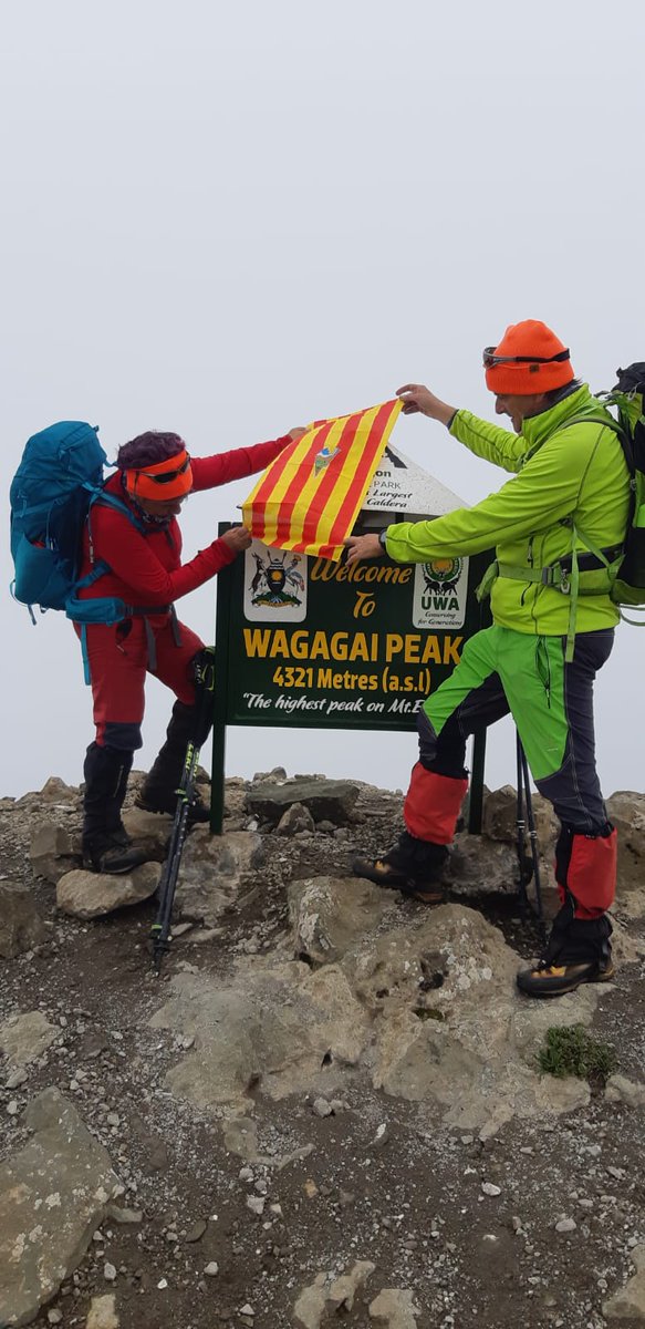 Josep Perpinyà i Palau tweet media