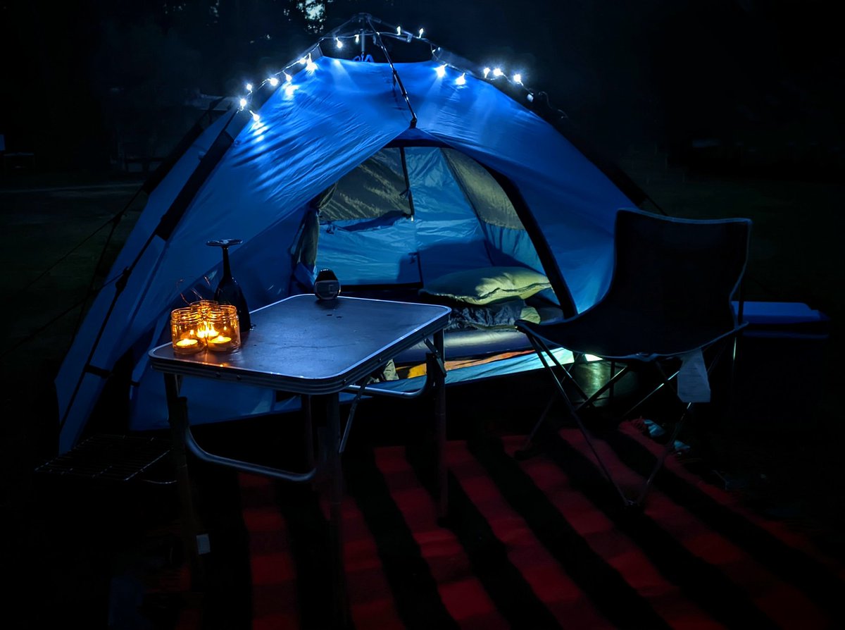 thealso's tweet photo. Goodnight Twitter from #PandaCamp Masevaux https://t.co/JBB9QCNNcz