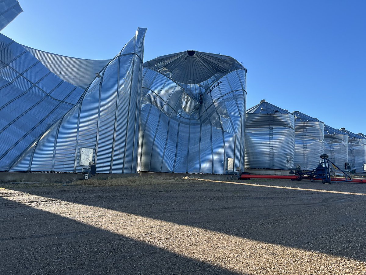 Mark Dimler tweet media