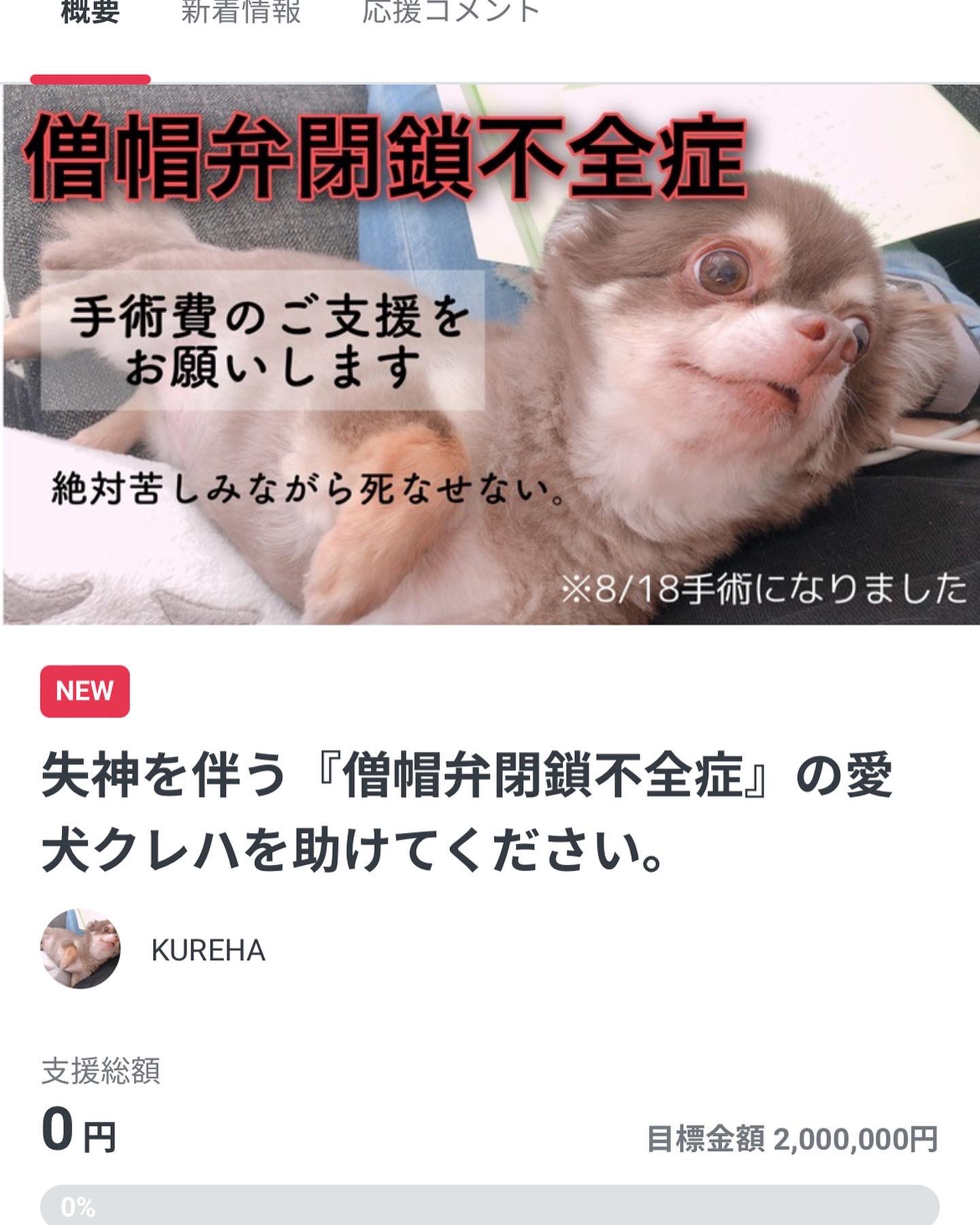 Kureha 僧帽弁閉鎖不全症 8 18手術 Kureha Twitter