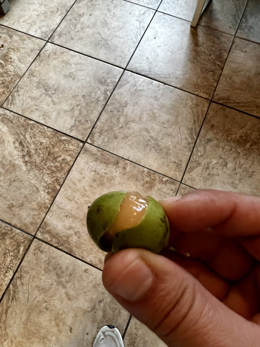 Ruffin Antuña tweet media