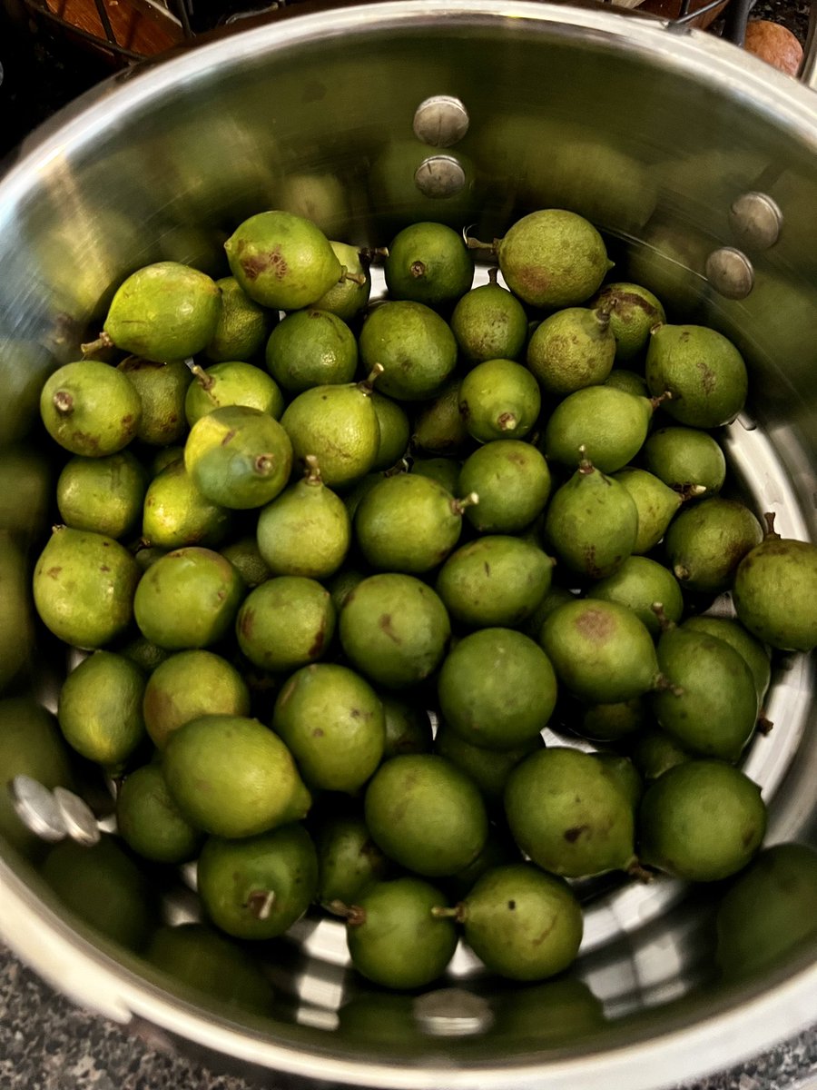 Ruffin Antuña tweet media