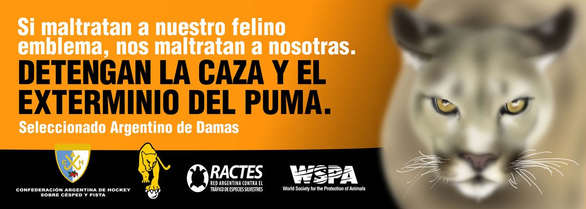 FundCullunche's tweet photo. HOY MAS QUE NUNCA REITERAMOS ESTE PEDIDO https://t.co/NUMionMcqe
