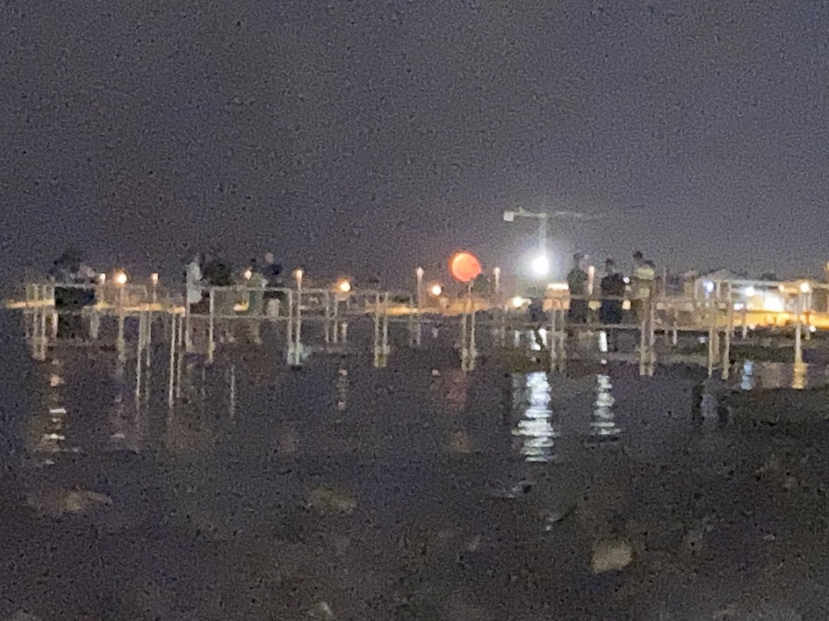 erFabius's tweet photo. FuckTheSystem #Fregna #TorreQuetta skyline #Bari https://t.co/OBB4nV3KJp