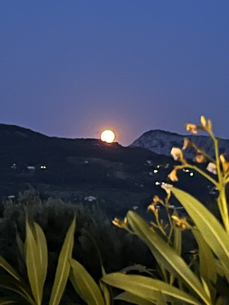 EdwigeTest's tweet image. 