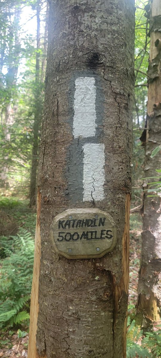 LiamHikes's tweet photo. Vermont continues to impress, this time with views from Killington, the second highest mountain in the state. Also - less than 500 miles to Katahdin! https://t.co/0nn9uVpSZb