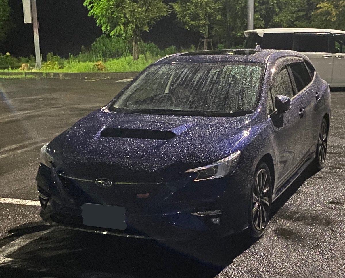 LEVORG_VN5's tweet photo. 雨×サファイアブルーパール https://t.co/Le2DiLHVwh