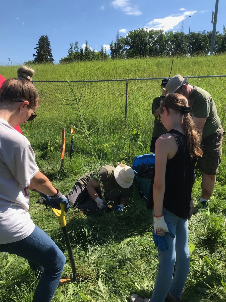 Paulatics's tweet photo. Ah! Some photos of me from our tree planting morning. What better summer Saturday activity for the deputy chair of the agriculture and forestry committee? #SenCa #AGFO #yeg #rootfortrees @ISGSenate https://t.co/5wmHXWftKn