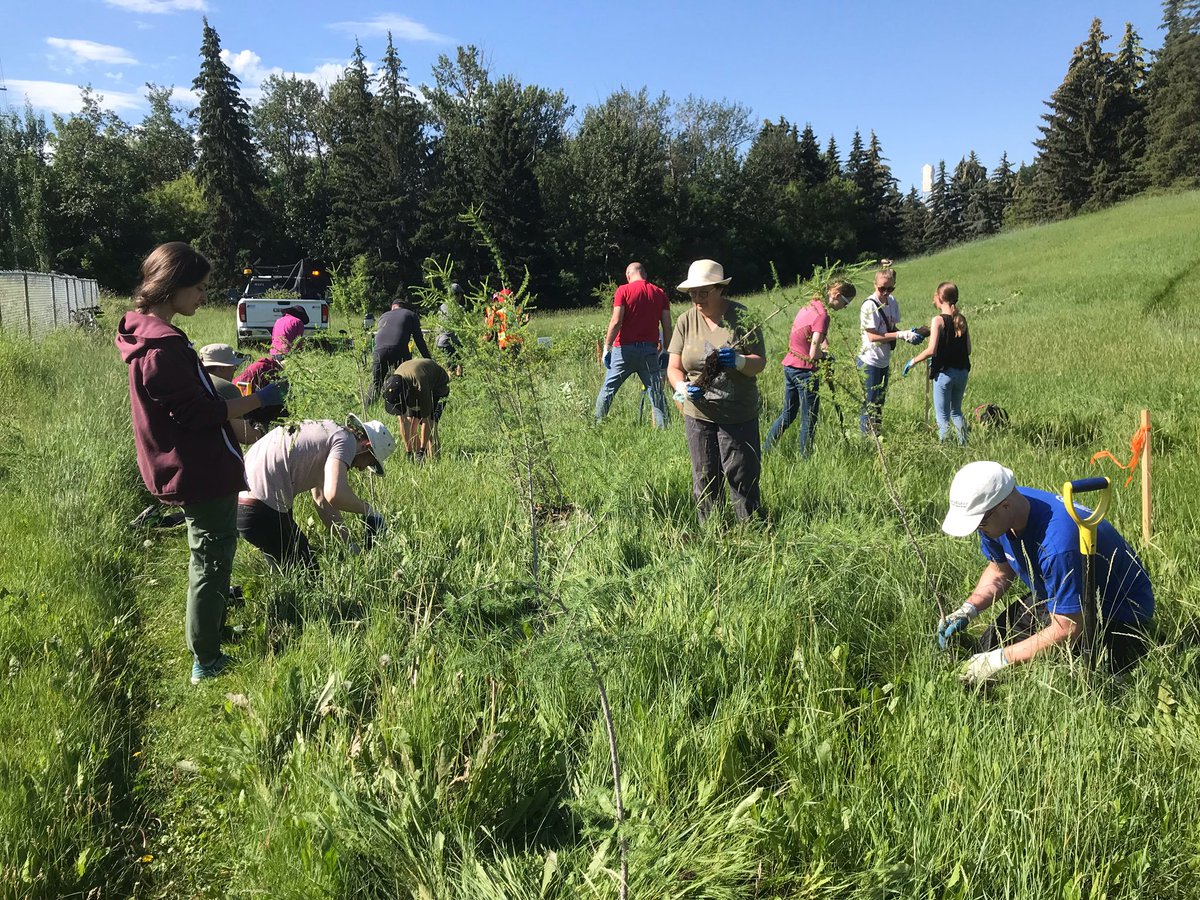 Paulatics's tweet photo. Ah! Some photos of me from our tree planting morning. What better summer Saturday activity for the deputy chair of the agriculture and forestry committee? #SenCa #AGFO #yeg #rootfortrees @ISGSenate https://t.co/5wmHXWftKn