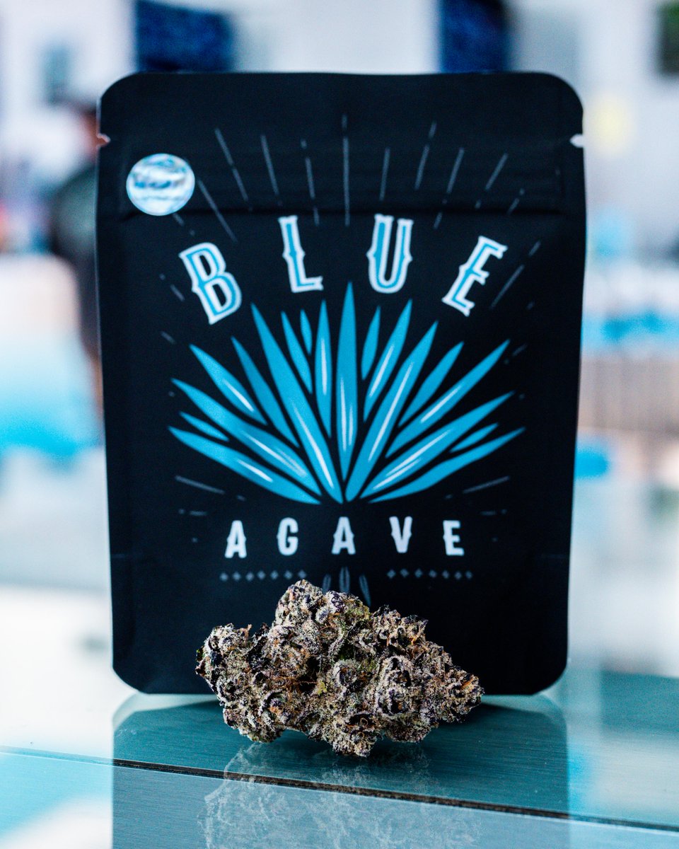 Cookies Palm Springs (@cookiespalms) on Twitter photo { BLUE AGAVE } π΅ π Expect a sweet agave with an earthy pine finish <a href="/cookiesglobal/">Cookies πͺ</a> #CookiesPalmSprings { BLUE AGAVE } π΅ π Expect a sweet agave with an earthy pine finish <a href="/cookiesglobal/">Cookies πͺ</a> #CookiesPalmSprings