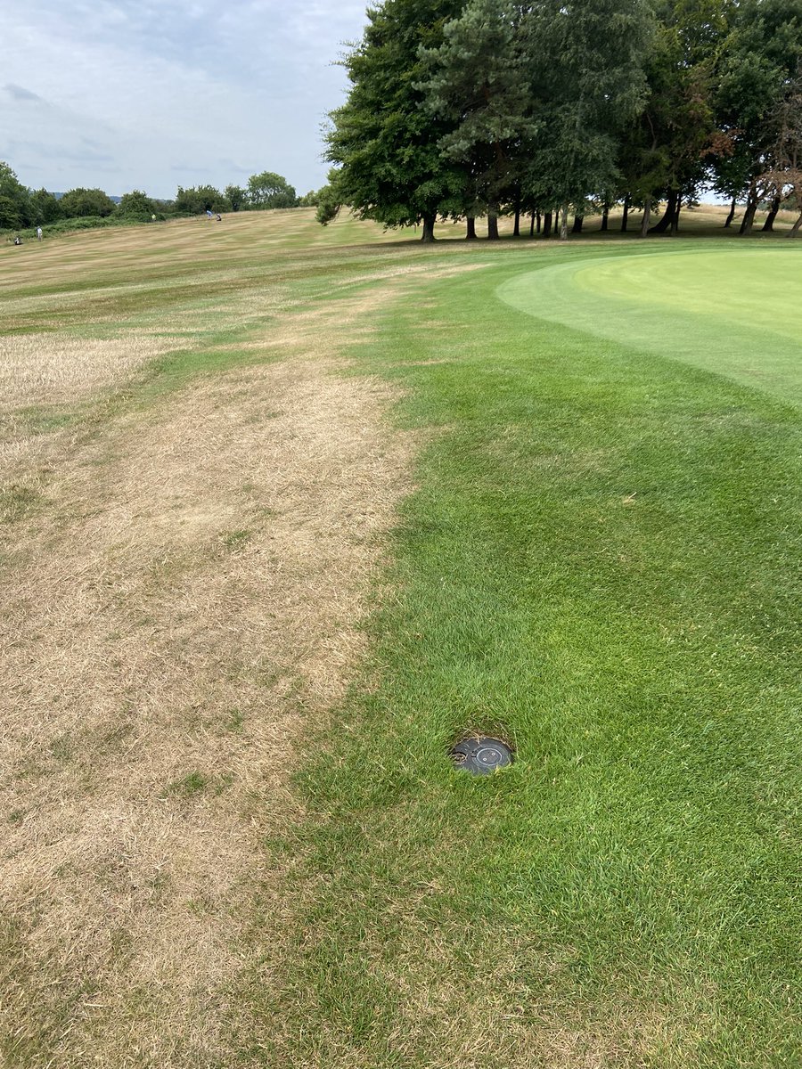 @rhizosolutions tweet media