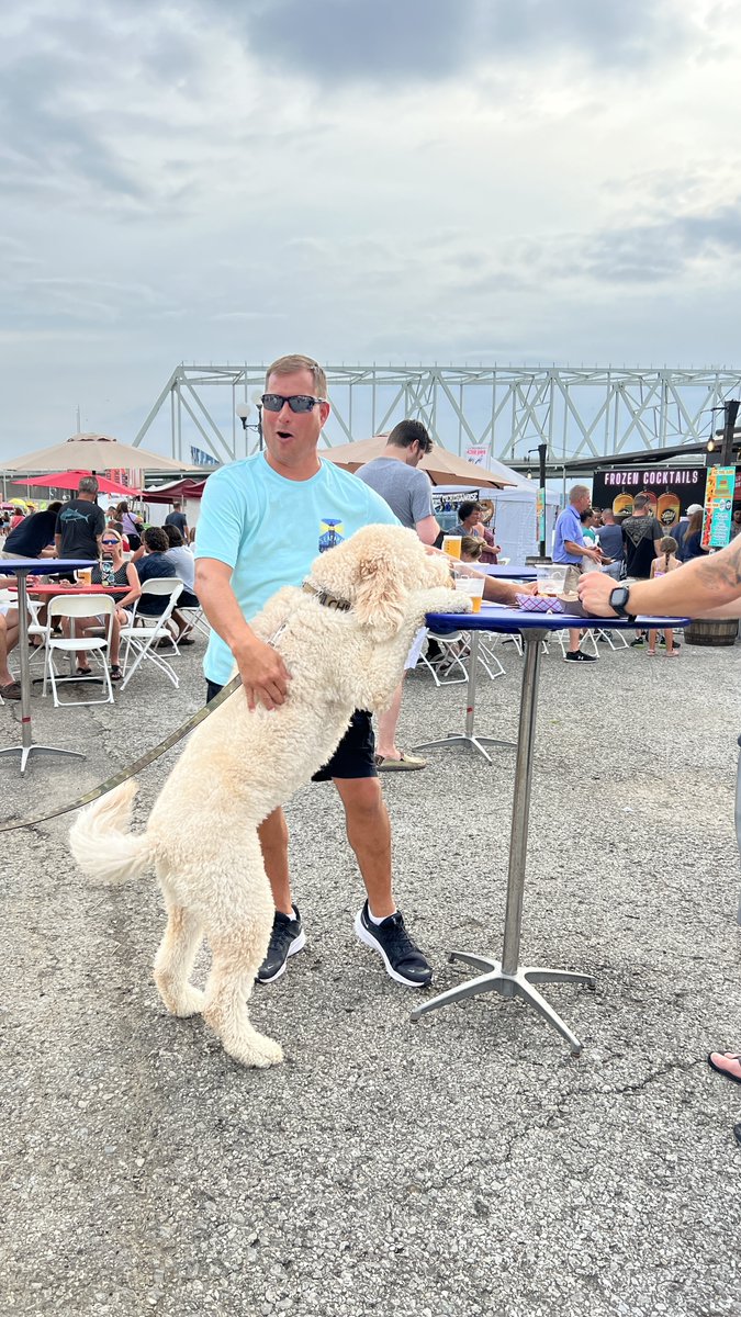 bbbfestcincy's tweet photo. Brews so good, even the dog wants some! https://t.co/0nFR9gfg0f