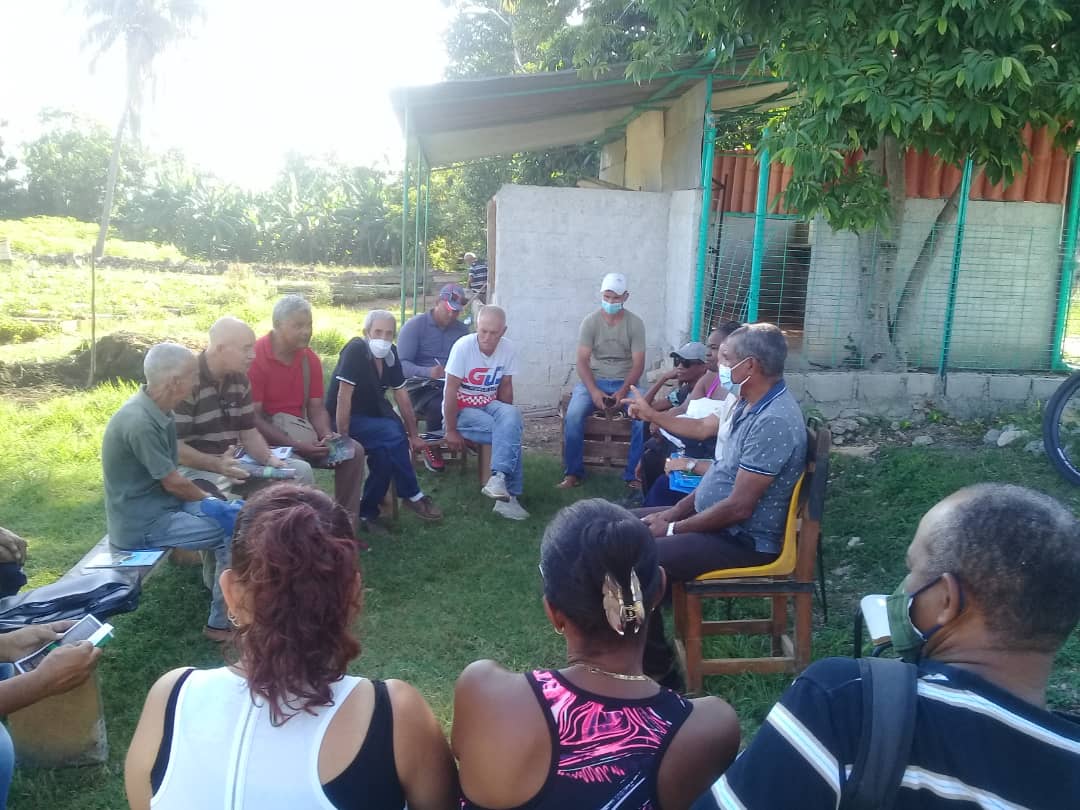 RachelBeltran48's tweet photo. Fructífero encuentro entre productores de San Miguel del padrón,sobre organoponia para socializar un mejor funcionamiento en los mismos #CubaViveYRenace, siempre en 26 y por un 26 de victoria https://t.co/Yp2s66yaqf