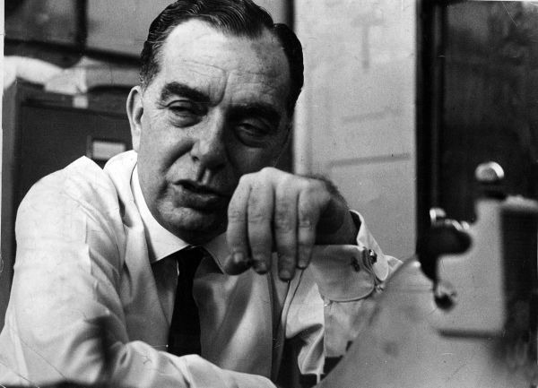 Blog do Noblat tweet media