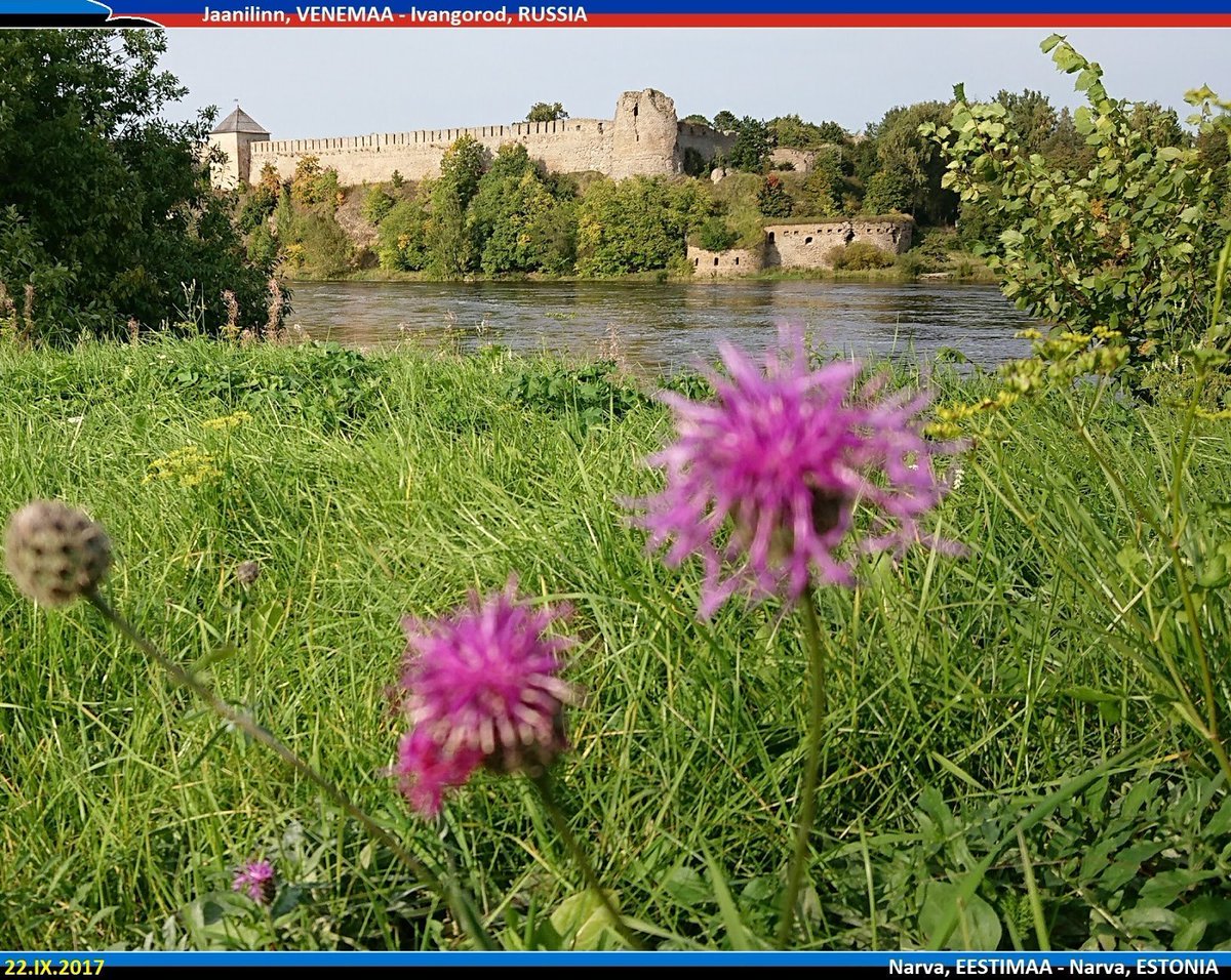 Pillandia's tweet photo. EST - Narva jõgi, Ida-Virumaa ja Lääne-Ingerimaa piirijõgi.
ENG - Narva River, marking the border between the city of Narva (Eastern Vironia, foreground) and Jaanilinn (Ingria, beyond the river).
Photo: 2017.
https://t.co/gJS6Enb3iA
#Virumaa #Ingerimaa #Eestimaa #Estonia https://t.co/V5rDBJbBmo