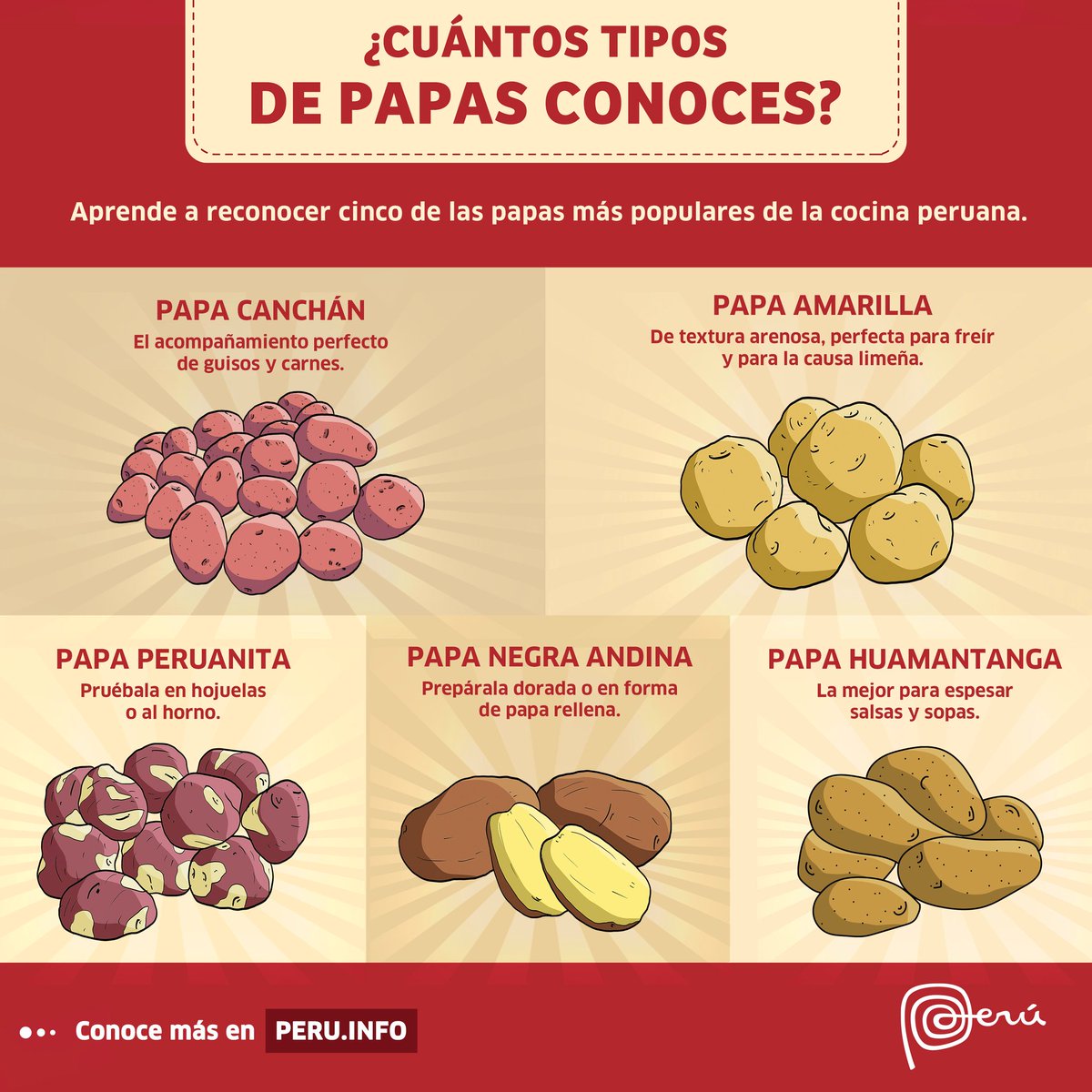 ErickPaulet's tweet image. 🌟 El origen de nuestro maravilloso tubérculo es tan peruano, que hasta decimos: “Soy más peruano que la papa” 🥔🇵🇪. ¿Cuántas de las más de 4,000 variedades que hay en el Perú conoces? 

📌Más detalles aquí: bit.ly/3lYqLoS

#MarcaPerú #OrgulloPeruano #EVPM #papa #Perú