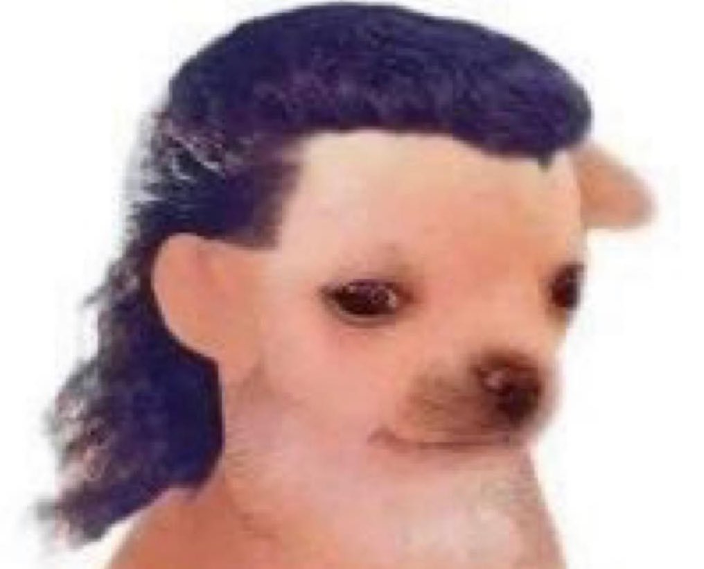 ElJeringasLoko's tweet photo. mi papá: te miras bien ridiculo con ese corte de pelo 

mi papá de joven: https://t.co/r7nT9JdPfw