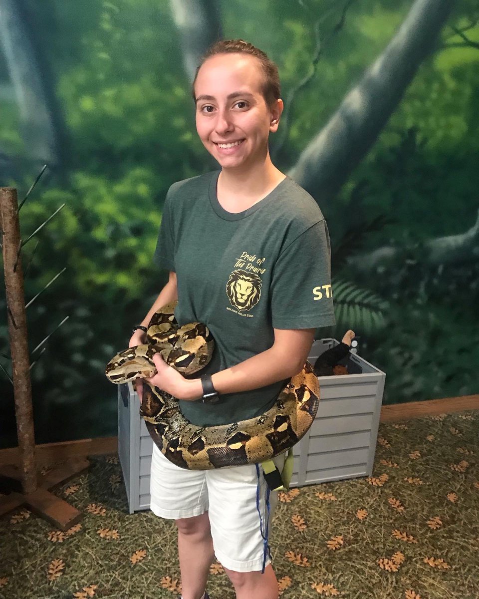 Happy world snake day