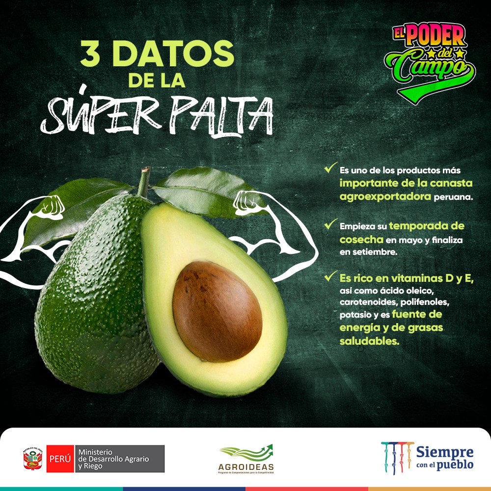 ErickPaulet's tweet image. #ElPoderDelCampo 🥑💪

¡Apuesto a que no conocer el poder de la palta! 
✔Aquí te presentamos 3 datos que debes saber de la 𝘀𝘂𝗽𝗲𝗿 𝗽𝗮𝗹𝘁𝗮. 💪🤓

✅ ¡Conoce más de este superfood, su fuente de energía y de nutrientes! 😋

#MIDAGRI #EVPM #palta #superpalta