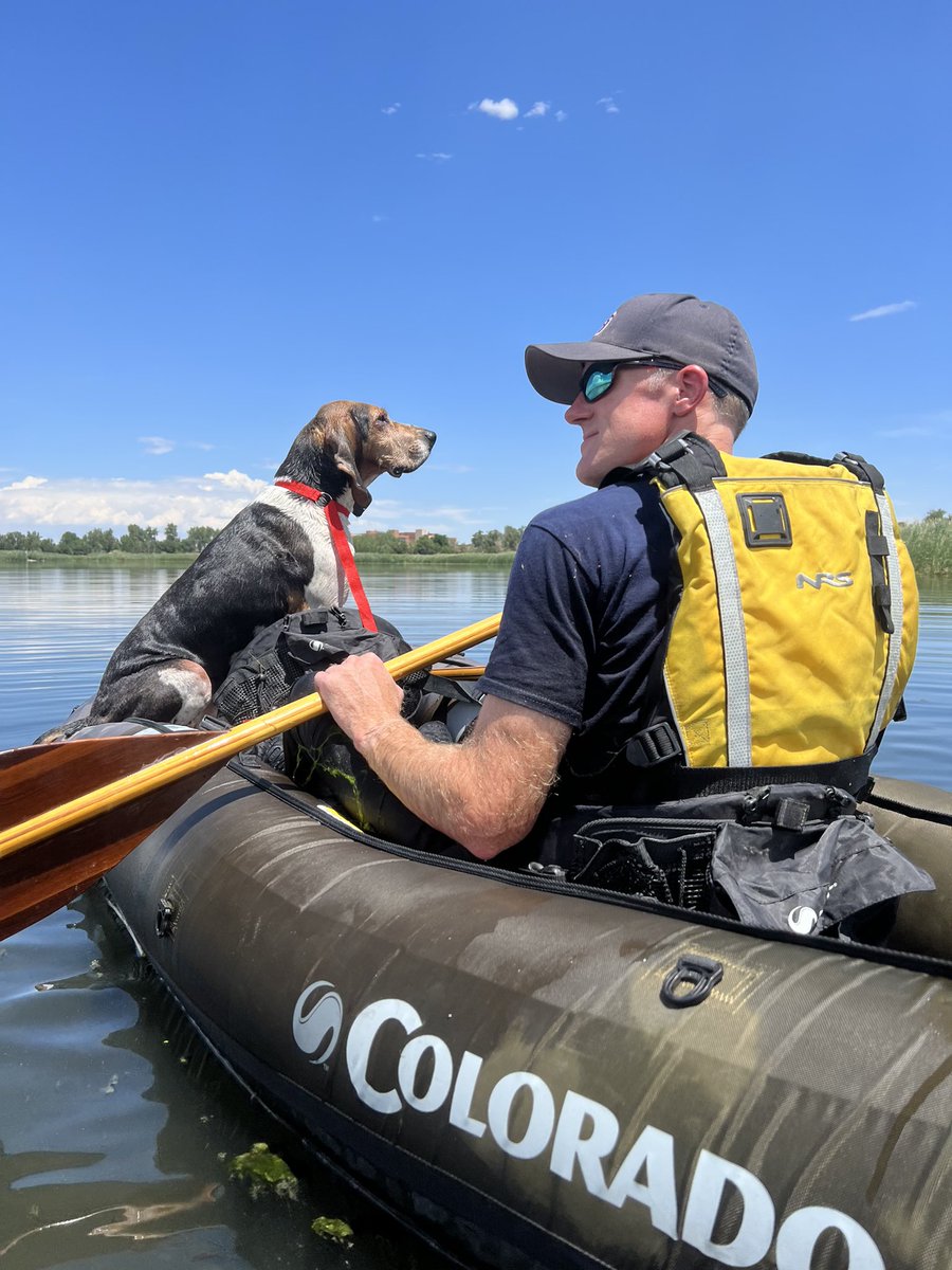 Station 4 called to a dog stuck in the lake.  Great news, they were able to get the dog back to its owner quickly!
Happy tails (tales?)!