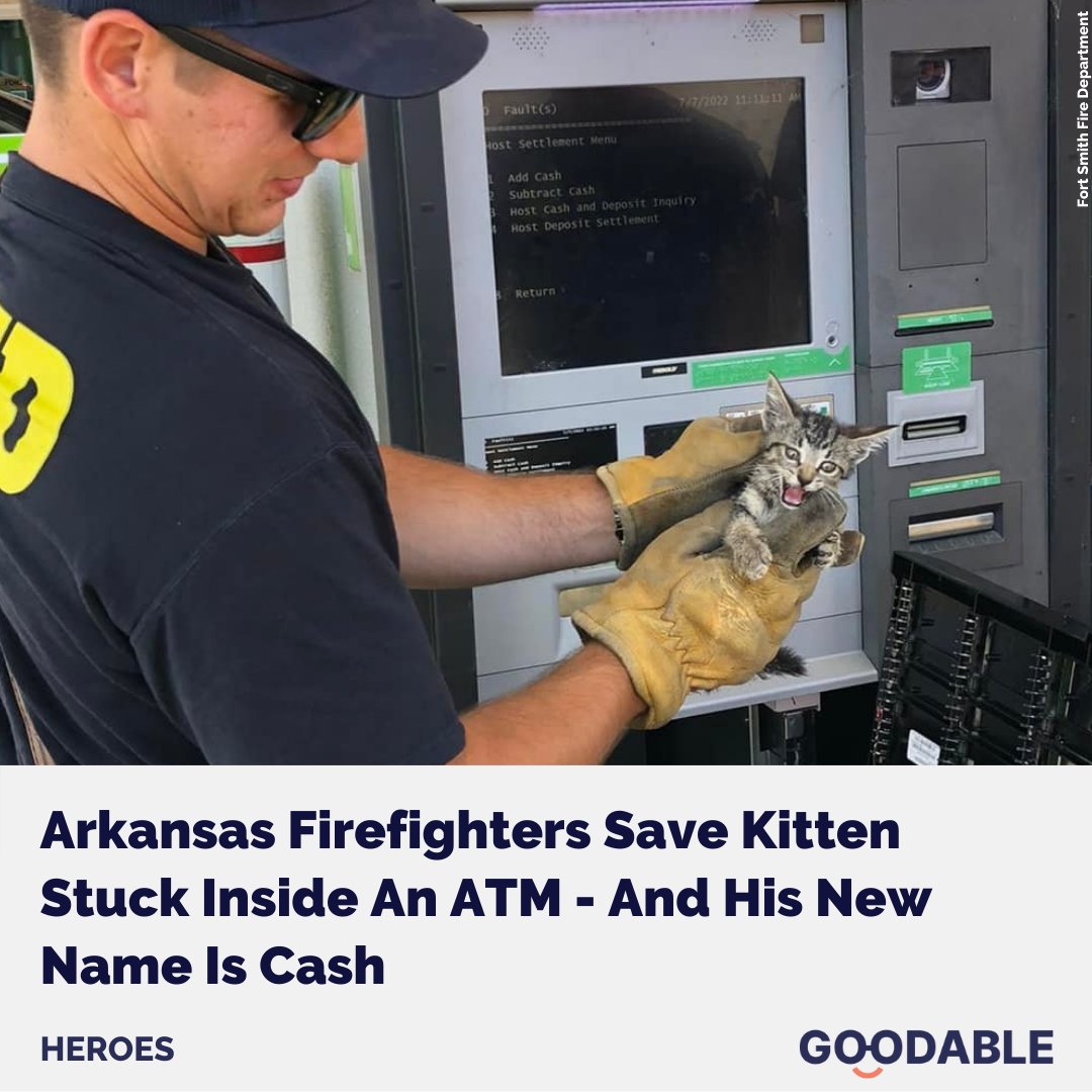 Goodable on Twitter "In Arkansas, a kitten accidentally got stuck