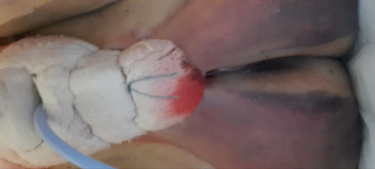CricriSubie's tweet photo. Tiens pour les ce qu'ils disent de garder ma pudeur juste pour toi regarde comme c'est beau si tu n'es pas content juste à passer ton tour et ne pas commenter mon poste alors dans ta face et bonne soirée https://t.co/d5hy6ig7pJ