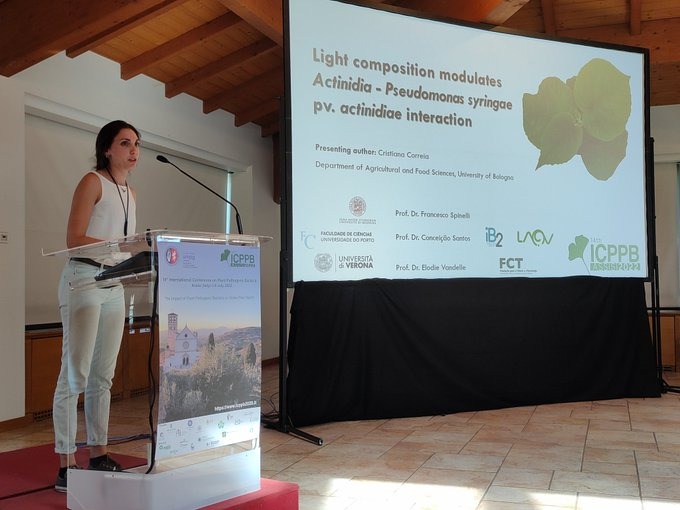 iB2_Lab's tweet photo. Last week, the iB2 members Cristiana and Nuno, both PhD students studying the phytopathogenic Pseudomonas syringae pv. actinidiae, presented their work at the 14th ICPPB focused on “The Impact of Plant Pathogenic Bacteria on Global Plant Health”. 🦠🥝
@icppb2020 #ICPPB2022Assisi https://t.co/v7oS4iuYHb