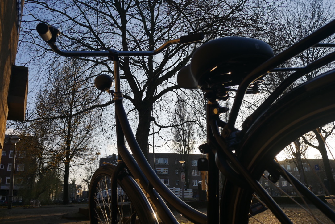 Real Dutch Bikes tweet media