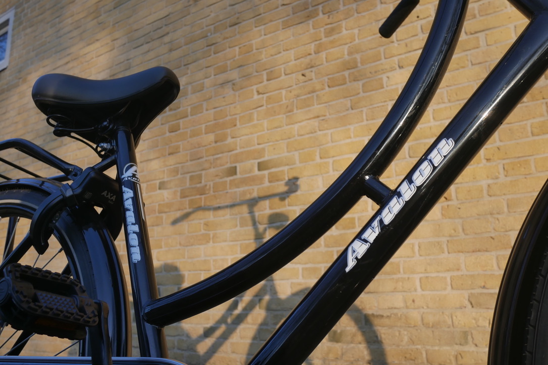 Real Dutch Bikes tweet media