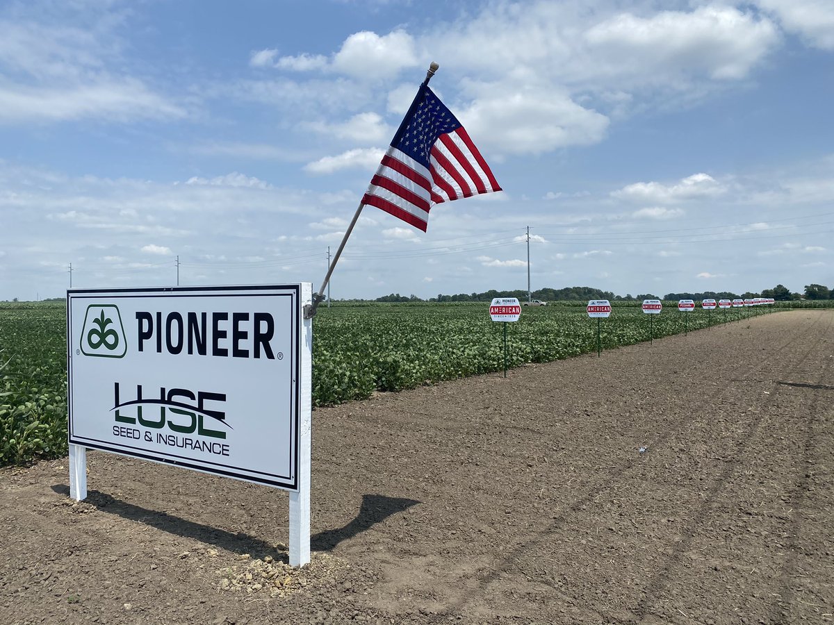 LuseSeed&Insurance tweet media