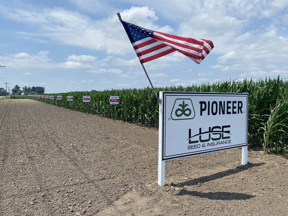 LuseSeed&Insurance tweet media