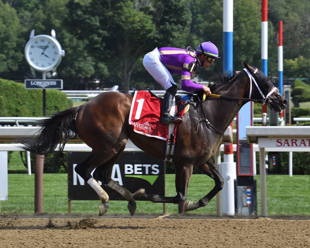 #16Jul Flamingo Hawk and jockey Irad Ortiz, Jr. @iradortiz take a Claiming $25,000 at #Saratoga on dirt surface for @SaffieJosephJr 

Thanks and congratulations to owner Peachtree Stable. 

1️⃣ First victory for Saffie Joseph, Jr. @SaratogaRace 2022 

📸 @coglianesephoto