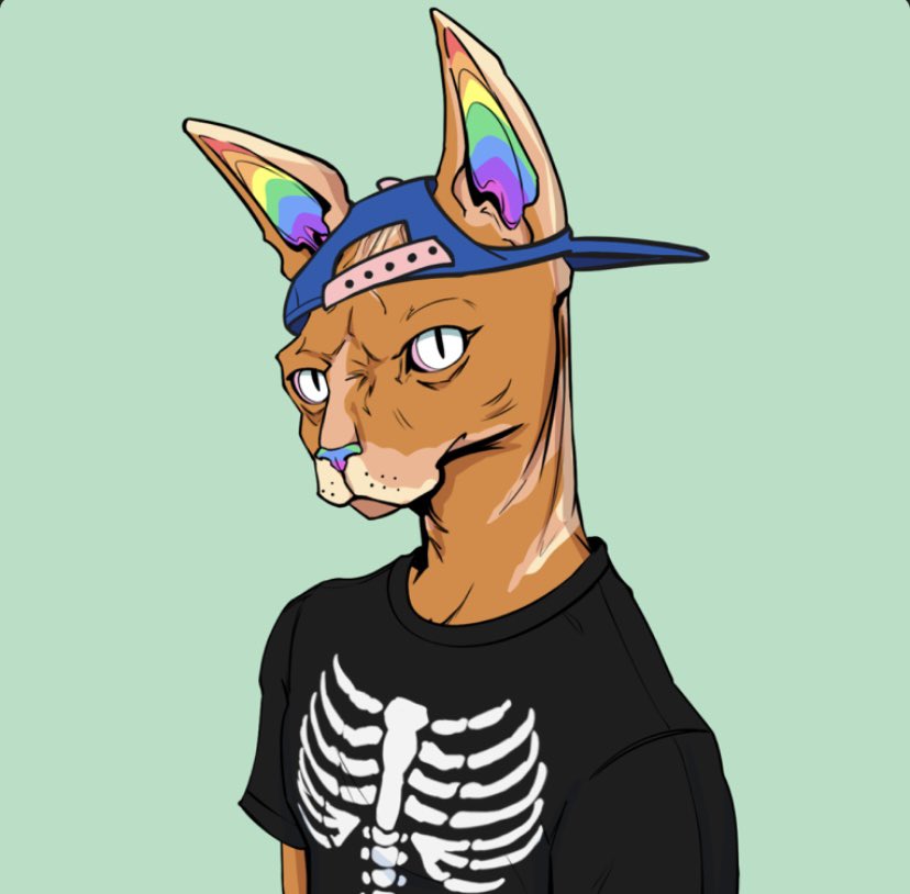 Future_Lens's tweet image. Is it true? Do @TheSphynxUS still follow sphynx?! Let’s go! #nyaw #rainbowdao #sol #nft Blow this up! 🚀🔥💎