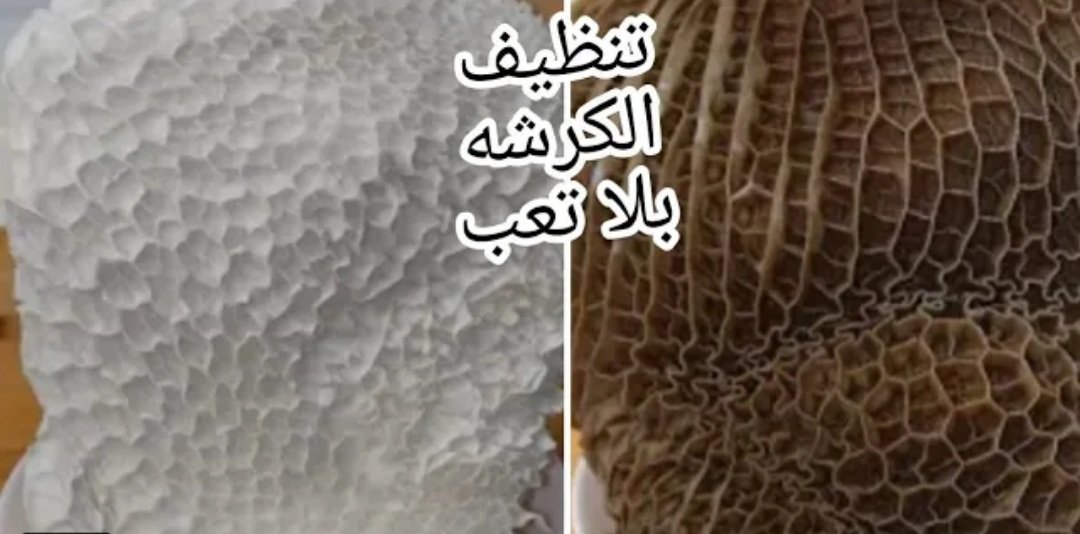 تنظيف الكرشه🤭🤭youtu.be/XkgaNlSLG_8