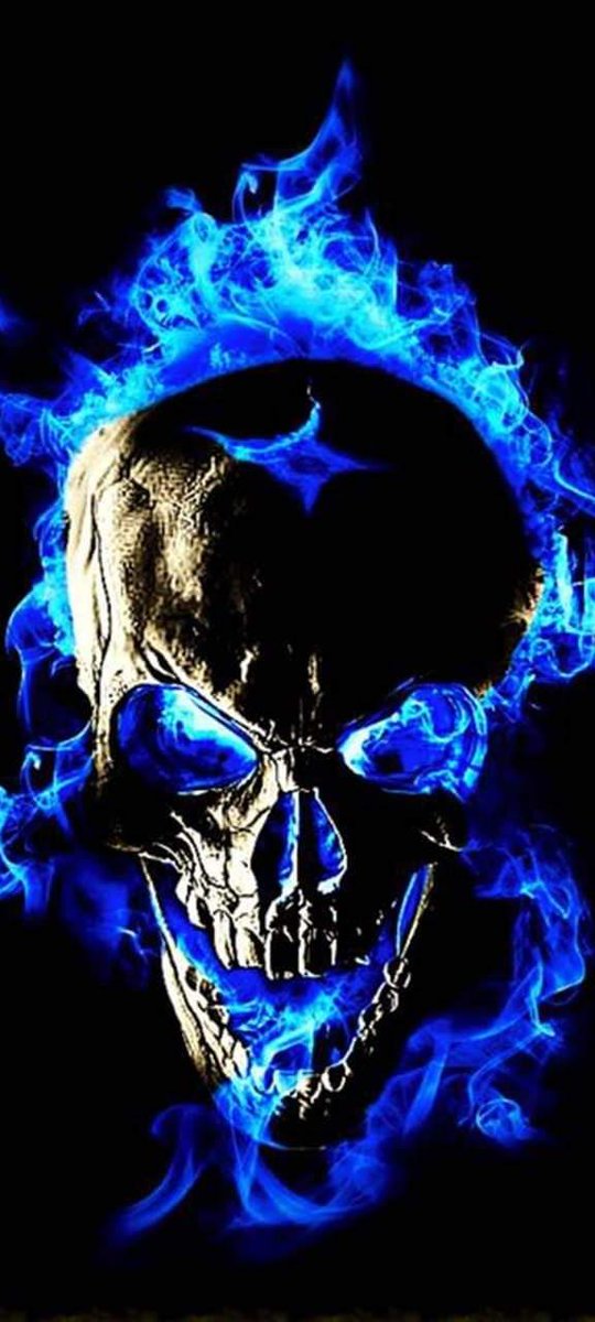 DevilSnake15's tweet photo. Flaming skull of death https://t.co/VYYjs5BayI