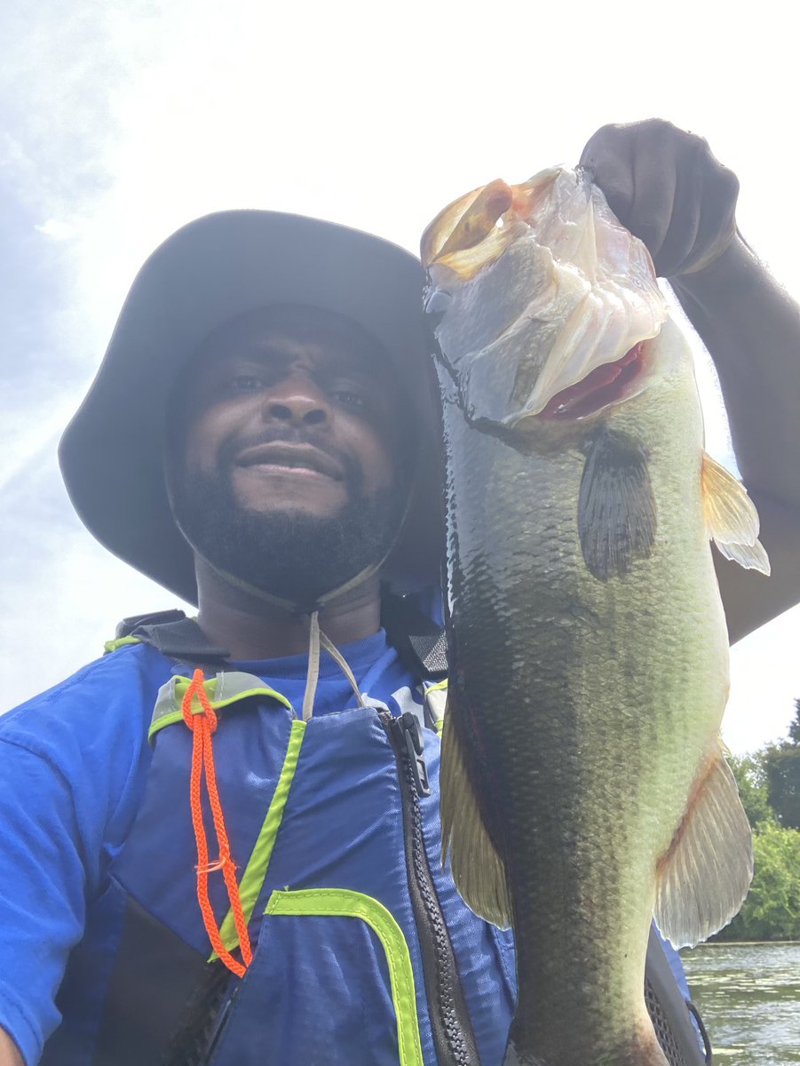 Bruce Bogtrotter tweet media