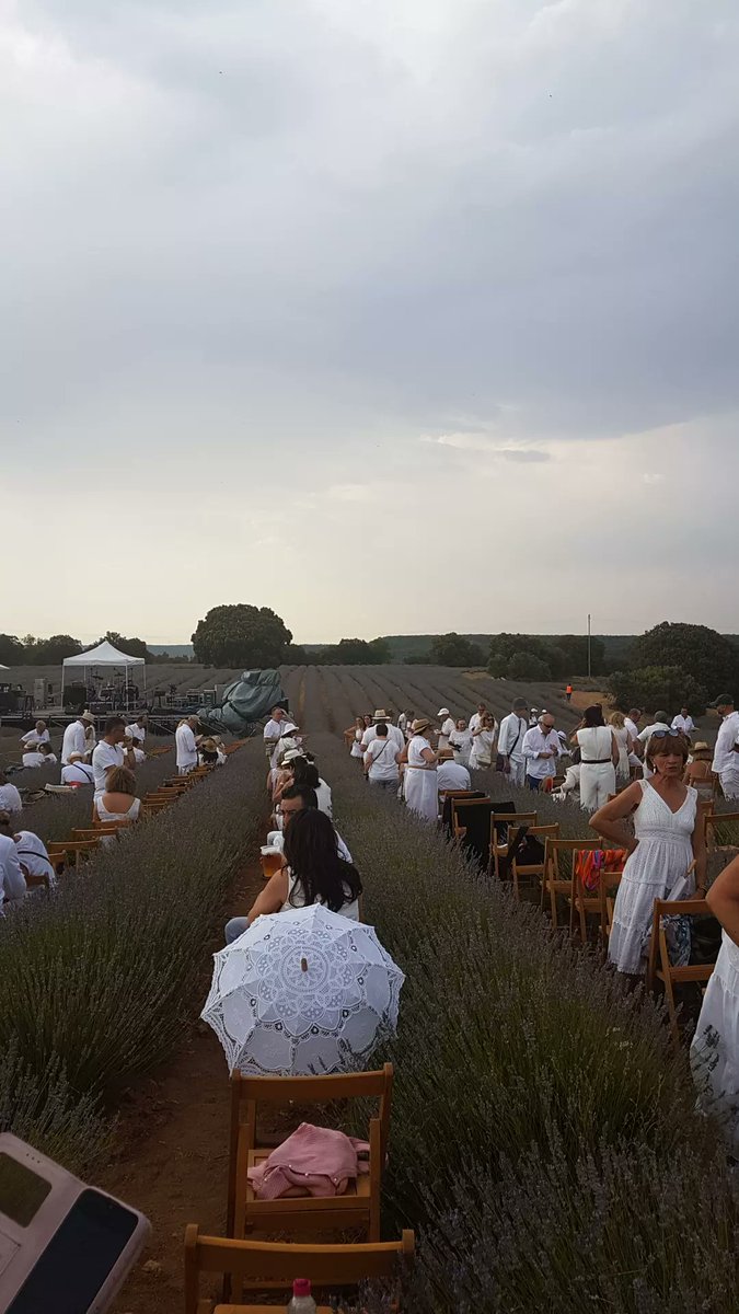 JMugarza's tweet photo. Campos de lavanda #Brihuega https://t.co/LEKAt4fZrB