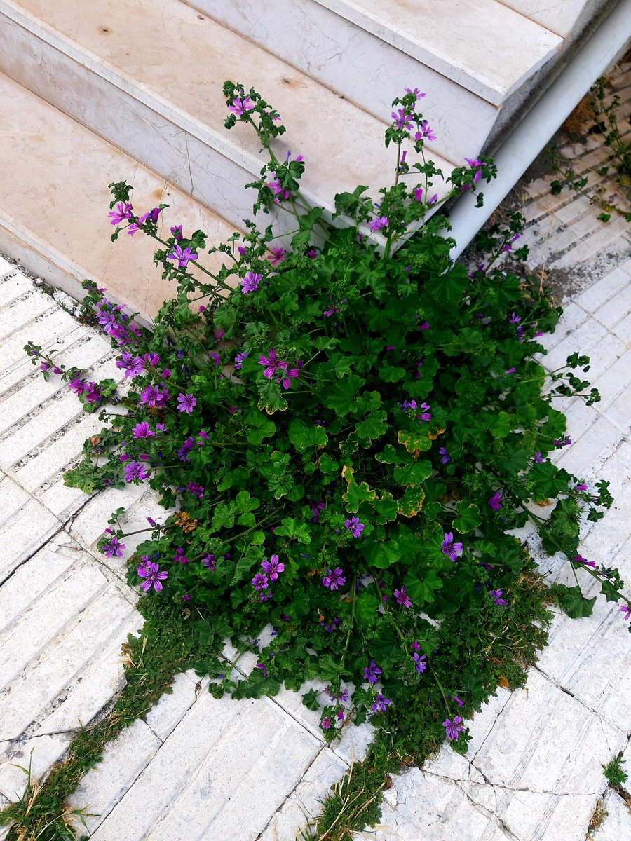 Franz Kafka’nın da dediği gibi "pek çok şeyin bambaşka olmasını isterdim."