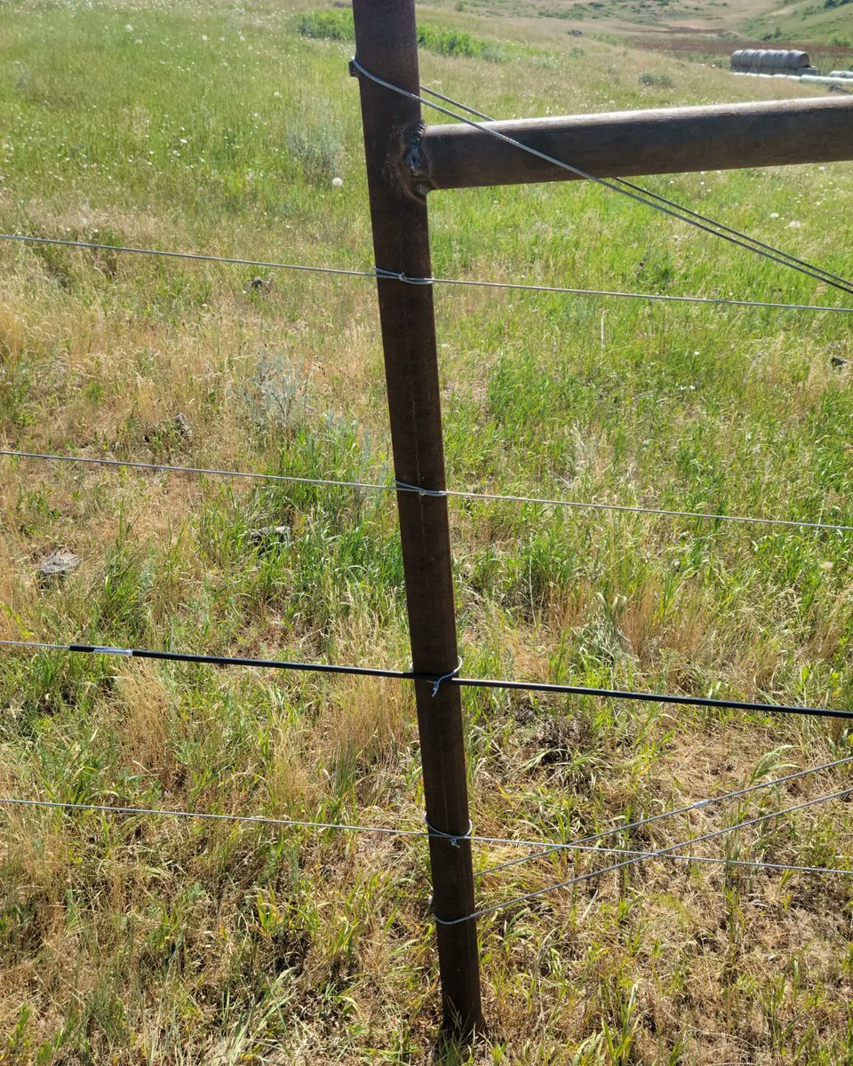 JG_Bison's tweet photo. Fencing wire going up at JG Bison. Great first day testing out our process to ensure everything is perfect and correct before we really get after running wire. https://t.co/lgYZvj2dws