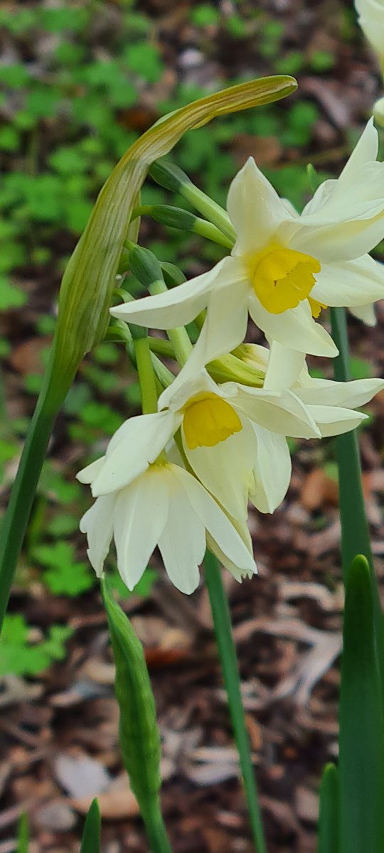 SusanDeeW's tweet image. Pfft to those that think Melbourne is depressing in Winter. Oh wait... #NotSpringYet #ClimateChange