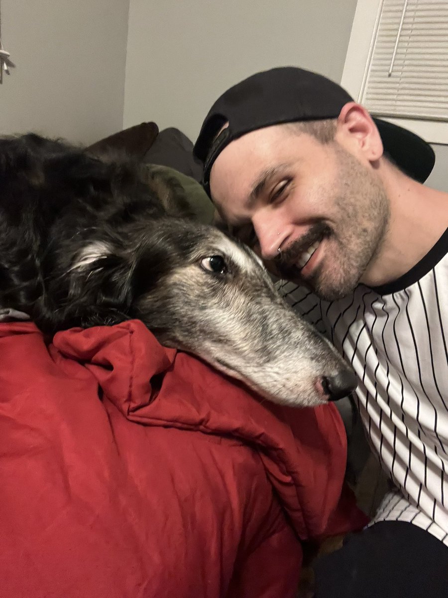 alannogil's tweet photo. Borzoi are mans best friend, but Morty just tolerates me 😂🖤 have you met Mortimer the Snootlord yet 🐴 https://t.co/hunzZZrKmQ