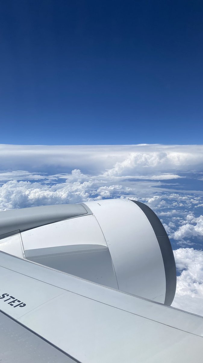 うたみいも🌱𝚄𝚝𝚊𝚖𝚒𝚒𝚖𝚘 tweet media