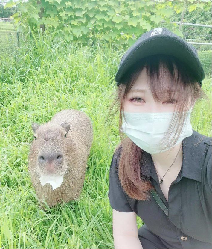 ひなげC107/2日目.東S－47b (@hinapinn) / Posts / X