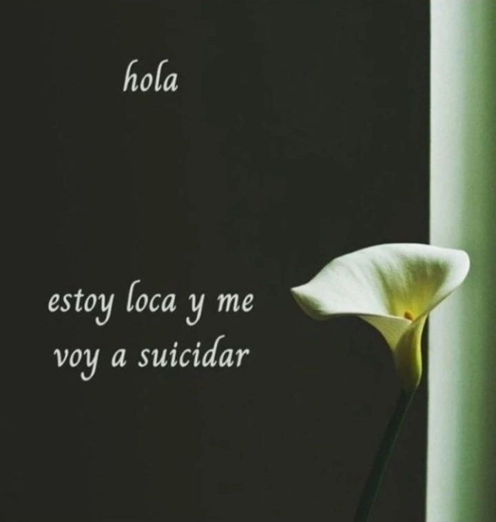 absolutelynacho's tweet image. 