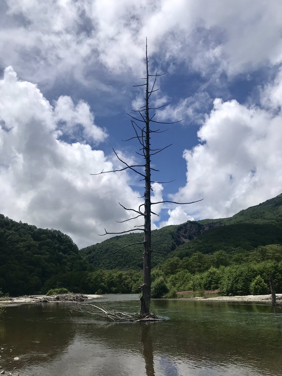 hikeP_METAL's tweet photo. アラスカなう   ←うそ https://t.co/aTw5YqDy60